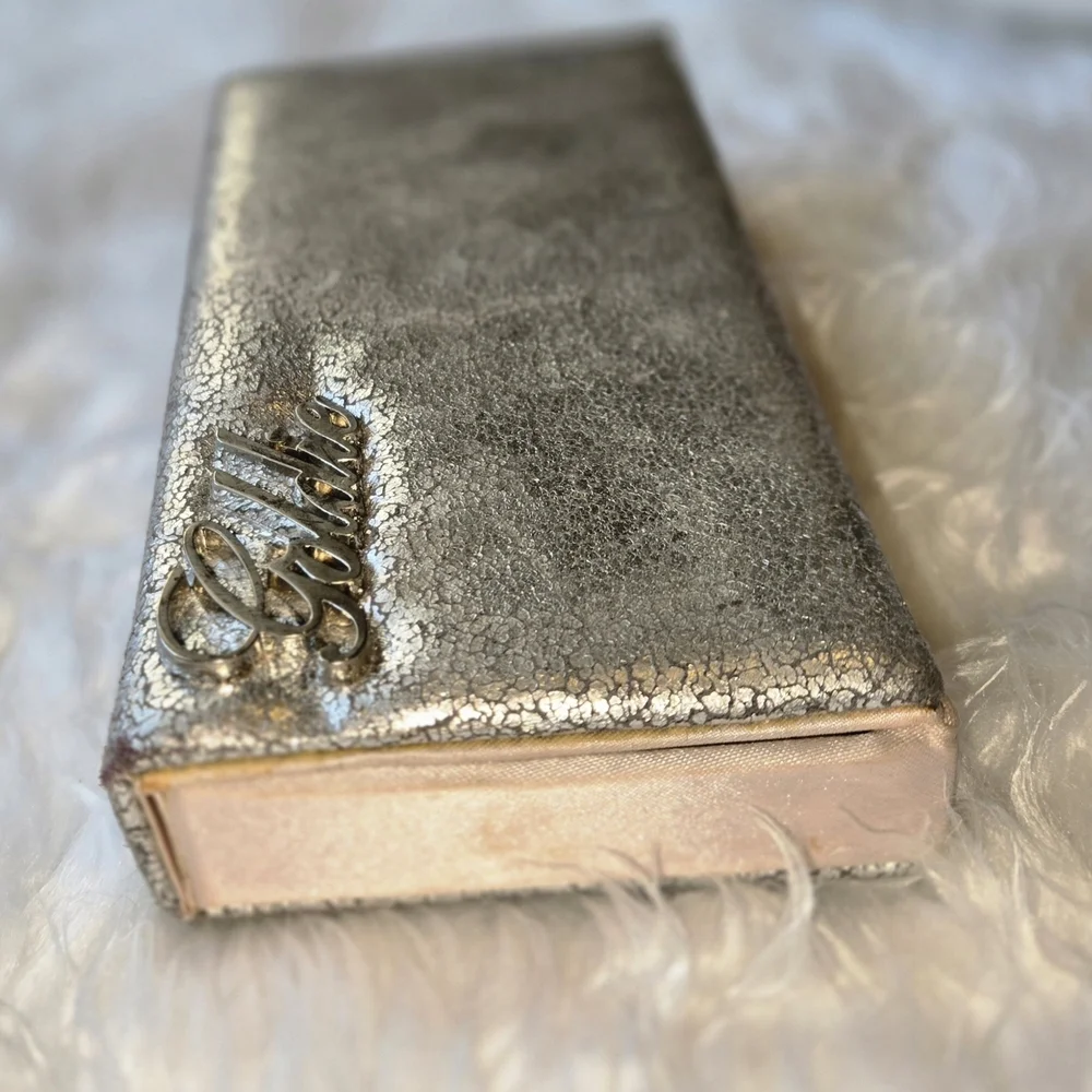 Victoria's Secret Shimmering Goldie Makeup Brush Case Crackled Silver